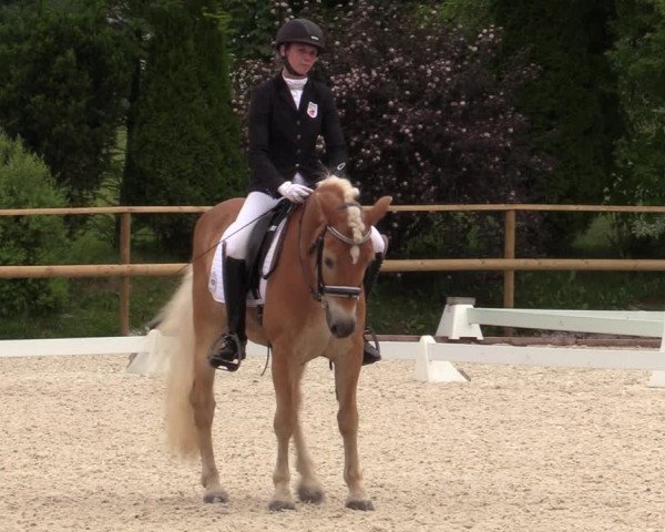 Reitturnier St. Ulrich am Pillersee 2023
