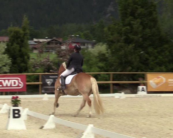 Reitturnier St. Ulrich am Pillersee 2023