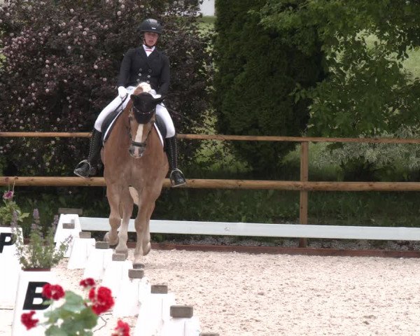 Reitturnier St. Ulrich am Pillersee 2023