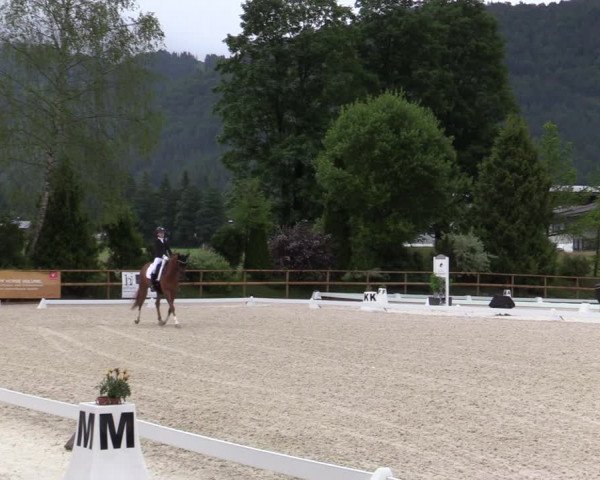 Reitturnier St. Ulrich am Pillersee 2023