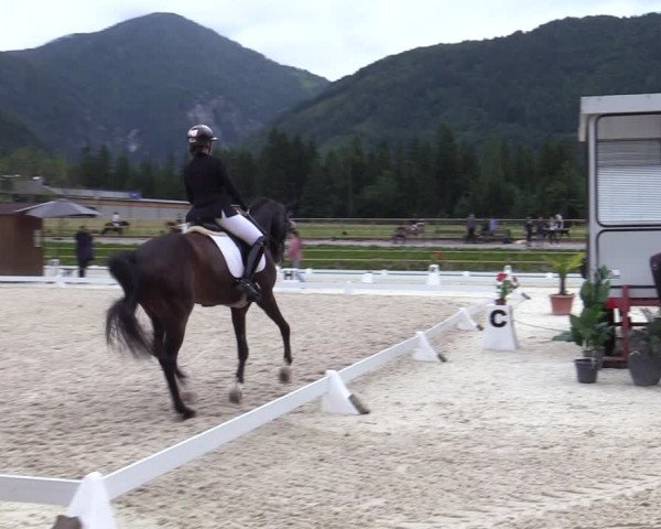 Reitturnier St. Ulrich am Pillersee 2023