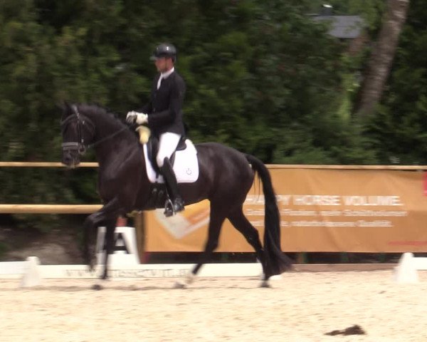 Reitturnier St. Ulrich am Pillersee 2023
