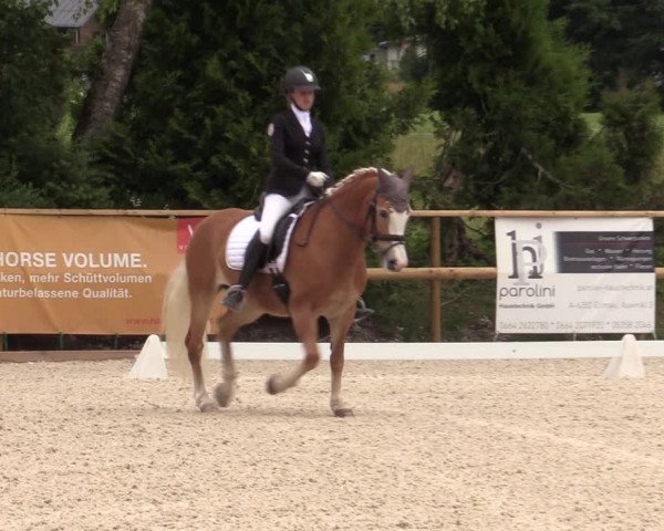 Reitturnier St. Ulrich am Pillersee 2023