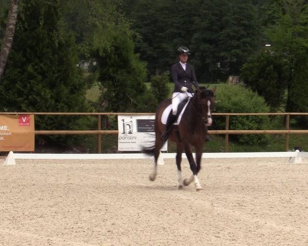 Reitturnier St. Ulrich am Pillersee 2023