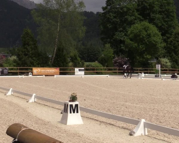Reitturnier St. Ulrich am Pillersee 2023