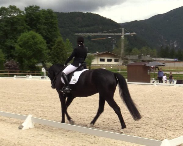 Reitturnier St. Ulrich am Pillersee 2023