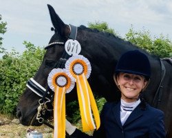 dressage horse Dantino W (Oldenburg, 2016, from Dante Weltino Old)