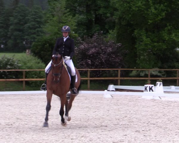 Reitturnier St. Ulrich am Pillersee 2023