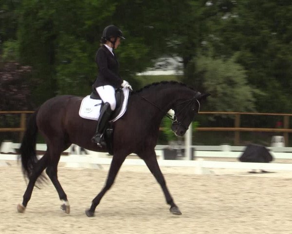 Reitturnier St. Ulrich am Pillersee 2023