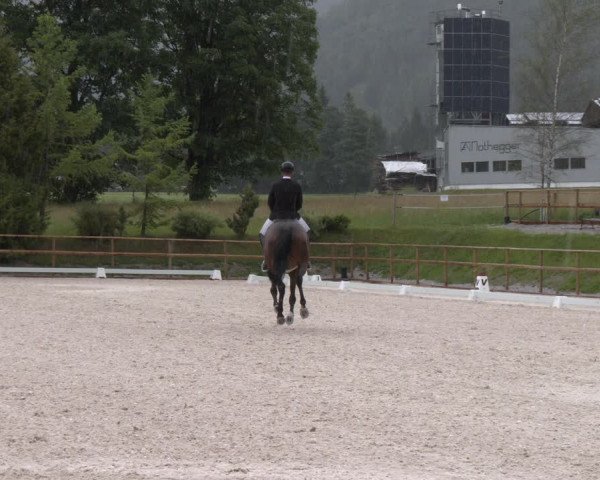 Reitturnier St. Ulrich am Pillersee 2023
