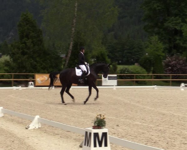 Reitturnier St. Ulrich am Pillersee 2023