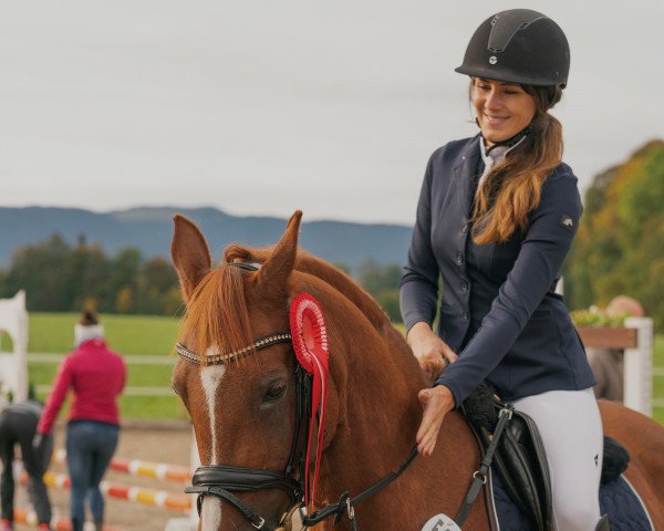 jumper Algana (German Riding Pony, 2005, from Silver General ox)