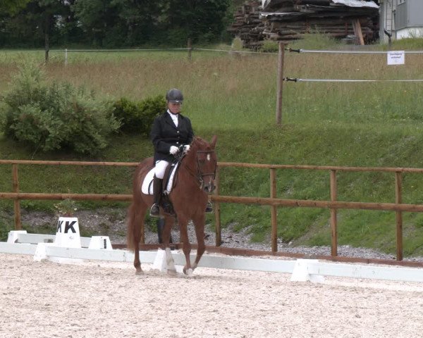 Reitturnier St. Ulrich am Pillersee 2023