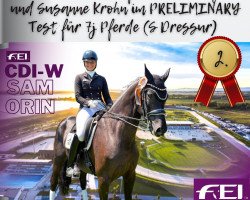 dressage horse Duke Ellington 13 (Hanoverian, 2016, from Dante Weltino Old)
