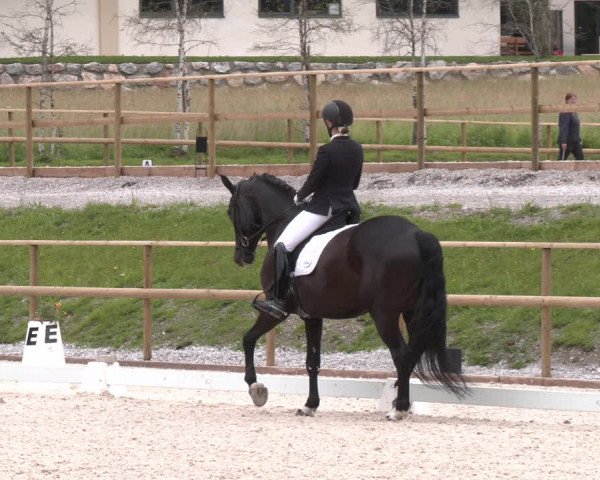 Reitturnier St. Ulrich am Pillersee 2023