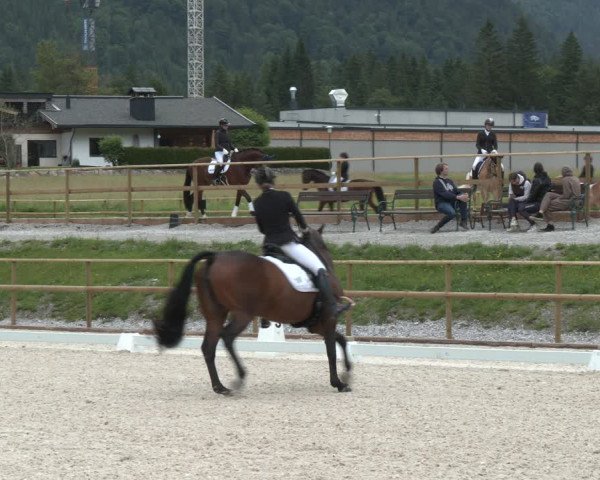 Reitturnier St. Ulrich am Pillersee 2023