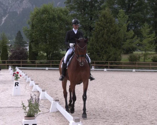 Reitturnier St. Ulrich am Pillersee 2023