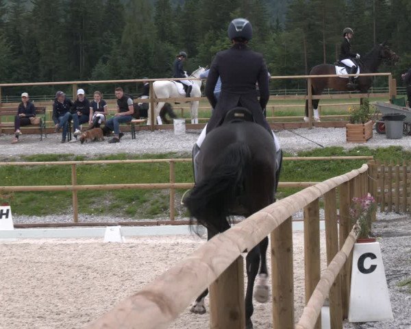 Reitturnier St. Ulrich am Pillersee 2023