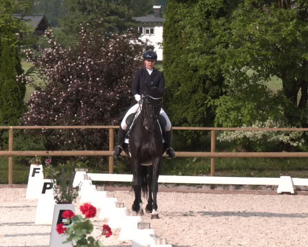 Reitturnier St. Ulrich am Pillersee 2023