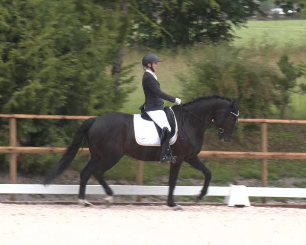 Reitturnier St. Ulrich am Pillersee 2023