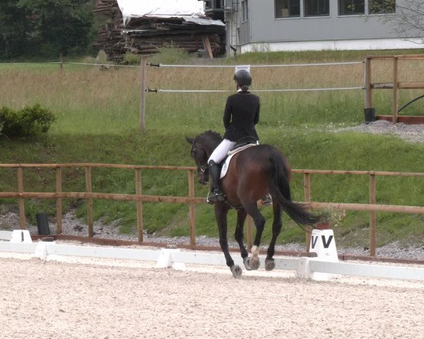 Reitturnier St. Ulrich am Pillersee 2023