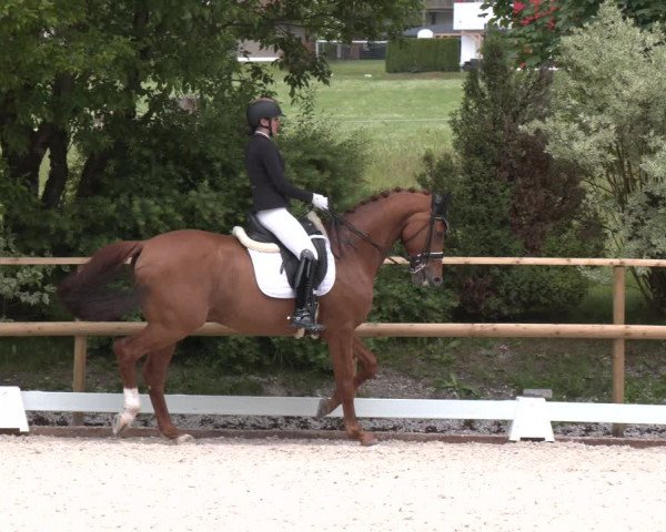 Reitturnier St. Ulrich am Pillersee 2023