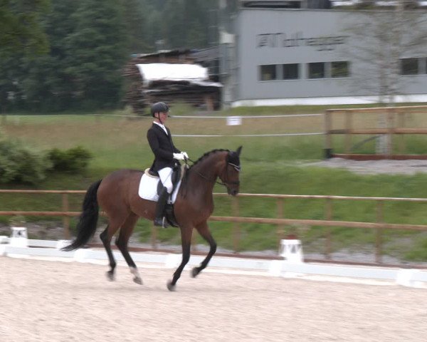 Reitturnier St. Ulrich am Pillersee 2023
