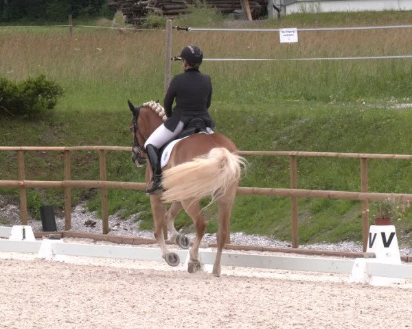 Reitturnier St. Ulrich am Pillersee 2023