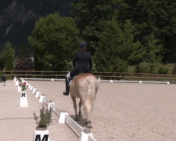 Reitturnier St. Ulrich am Pillersee 2023
