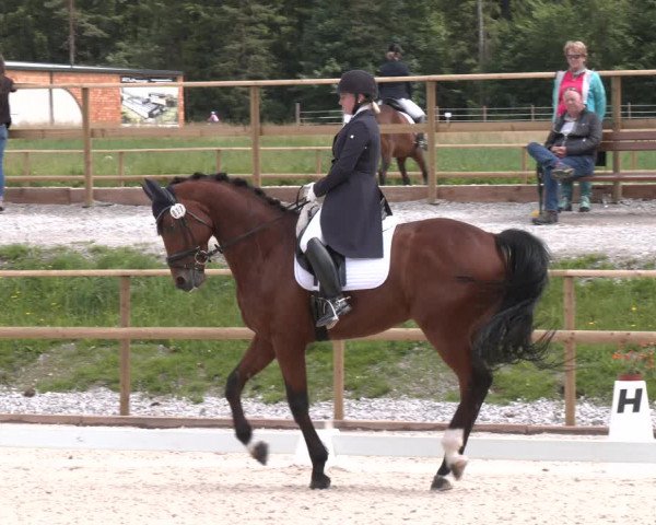 Reitturnier St. Ulrich am Pillersee 2023