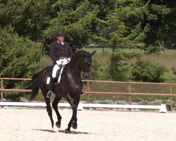 Reitturnier St. Ulrich am Pillersee 2023