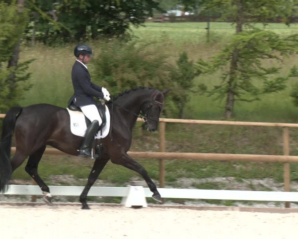 Reitturnier St. Ulrich am Pillersee 2023