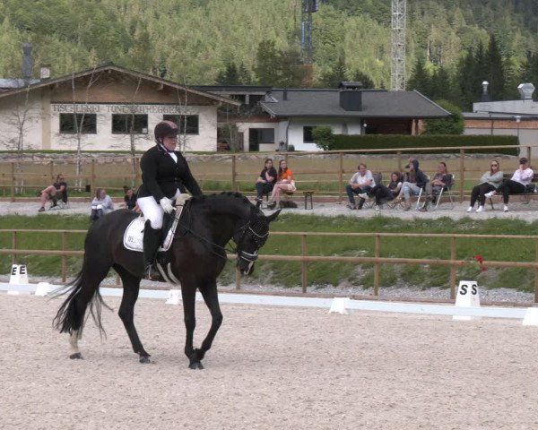 Reitturnier St. Ulrich am Pillersee 2023