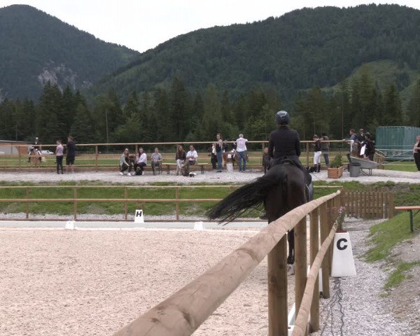 Reitturnier St. Ulrich am Pillersee 2023