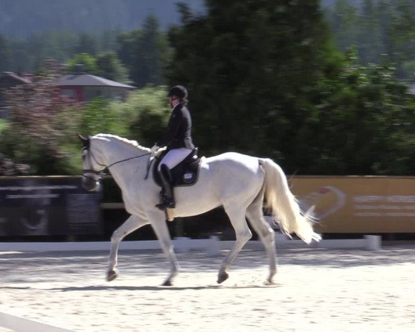 Reitturnier St. Ulrich am Pillersee 2023