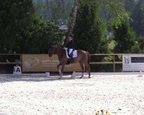 Reitturnier St. Ulrich am Pillersee 2023