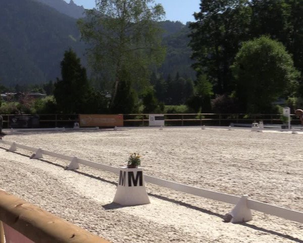 Reitturnier St. Ulrich am Pillersee 2023
