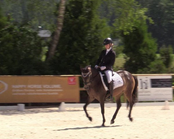 Reitturnier St. Ulrich am Pillersee 2023