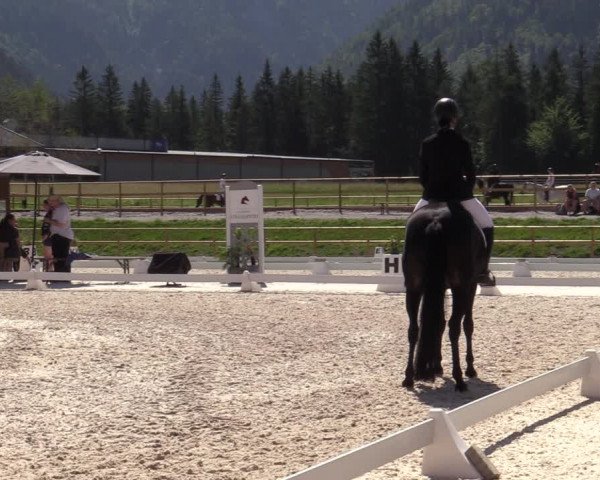 Reitturnier St. Ulrich am Pillersee 2023