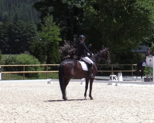 Reitturnier St. Ulrich am Pillersee 2023