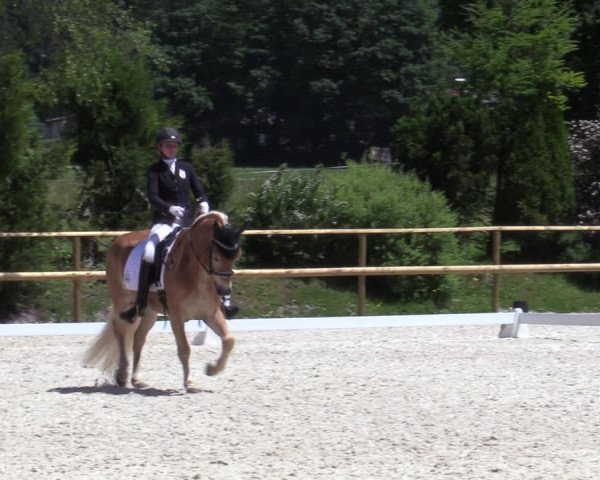 Reitturnier St. Ulrich am Pillersee 2023
