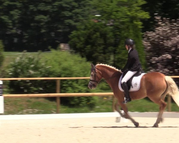Reitturnier St. Ulrich am Pillersee 2023