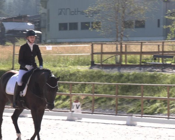 Reitturnier St. Ulrich am Pillersee 2023