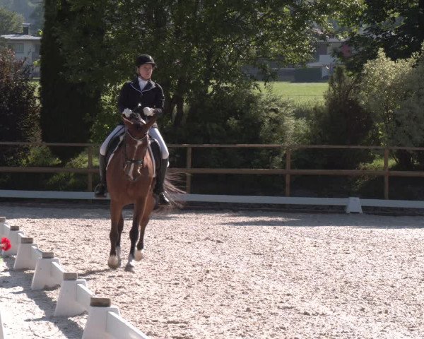Reitturnier St. Ulrich am Pillersee 2023
