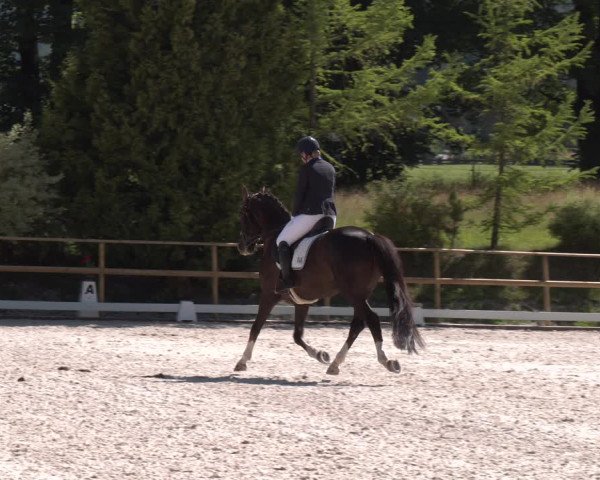 Reitturnier St. Ulrich am Pillersee 2023