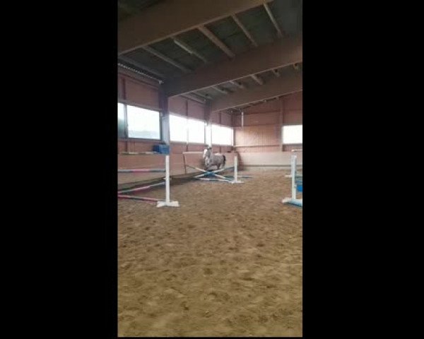 Video of Der Knilch F