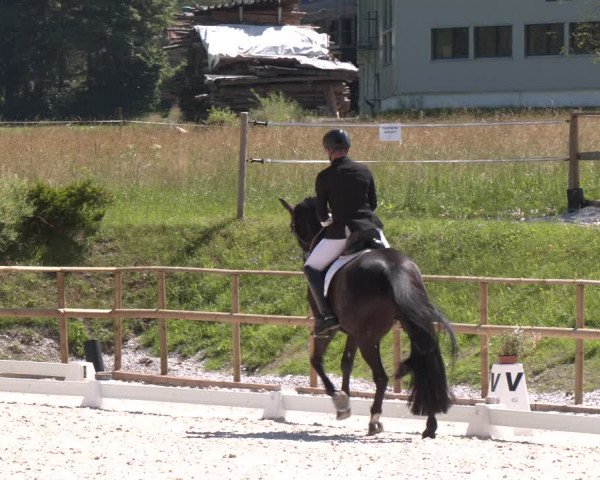 Reitturnier St. Ulrich am Pillersee 2023