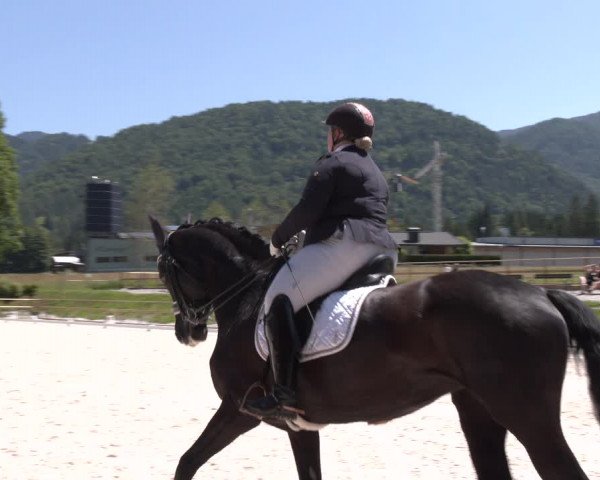 Reitturnier St. Ulrich am Pillersee 2023
