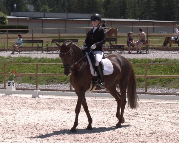 Reitturnier St. Ulrich am Pillersee 2023