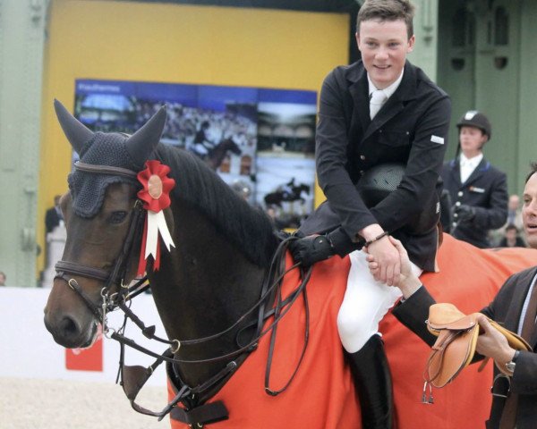 broodmare Cortina 200 (Holsteiner, 2005, from Contender)